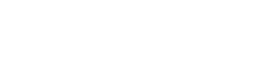 Shockey white retina logo